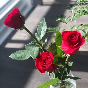 Meet your Posher, Greeshma raj